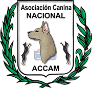 logo4-1