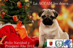 accam2011