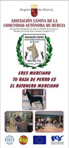 informacion_accam