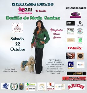 cartel-web2-1