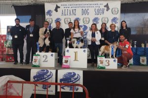 dscf1079
