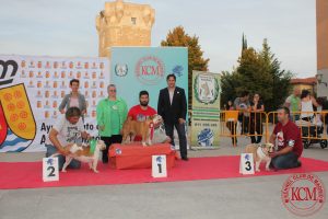 final-abierta