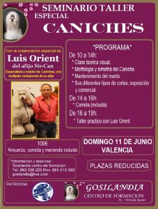 Seminario Taller Alianz Especial Caniches - Valencia