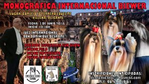 Monográfica Internacional Biewer Villena - Alicante 2017 @ Complejo JC Ferrero Equelite