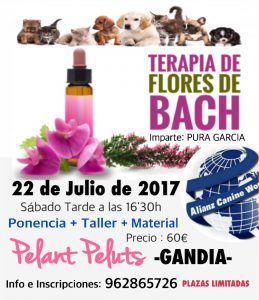 SEMINARIO FLORES DE BACH EN ANIMALES - ALIANZ GANDIA - JULIO 2017 @ Centro Alianz Gandia