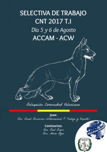 Selectiva de Trabajo ACCAM-ACW de la prueba TI en Valencia - Agosto 2017 @ centro canino Torre Jurado