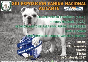 XIII Exposición Canina Nacional Alicante - Panoramis - Octubre 2017