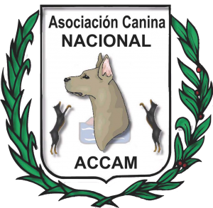 I Exposición Canina Nacional de Sant Jordi de Cercs - Barcelona - Octubre 2017 @ Sant Jordi de Cercs - Barcelona