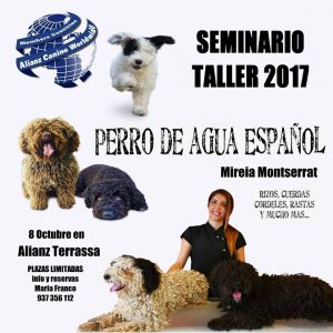 Seminario Taller Perro de Aguas Español Alianz Terrassa - Octubre 2017 @ centro Alianz Terrassa