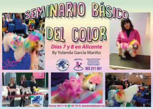 Seminario Básico de Color Alianz Alicante - octubre 2017 @ Centro Alianz Alicante