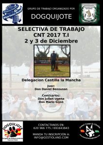 Selectiva de Trabajo CNT T.I. Castilla La Mancha - Diciembre 2017 @ Centro Canino DogQuijote