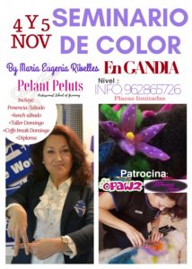 Seminario de Color Alianz Gandia - Noviembre 2017 @ Centro Alianz Gandia