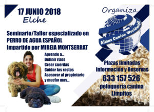 Seminario- Taller Perros de Aguas Español - Alianz Elche 2018 @ Centro Alianz Formación Elche