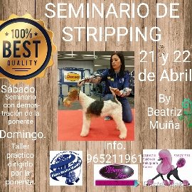 Seminario Stripping Alianz Alicante 2018 @ Centro Alianz Alicante