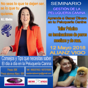 Seminario Gestión de la Peluquería Canina Alianz Vigo 2018 @ Centro Alianz Vigo