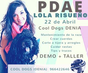 Seminario Taller Especial Perro de Aguas Español Alianz Denia - Abril 2018 @ Centro Alianz Denia