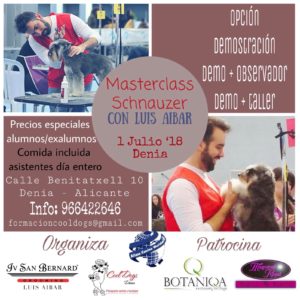 Master Class Schnauzer Alianz Denia Junio 2018 @ Centro Alianz Denia