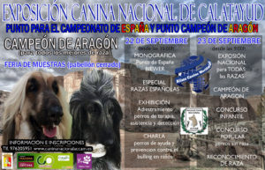 Exposición Canina Nacional de Calatayud- Aragón 2018 @ Pabellón Feria de Muestras de Calatayud