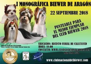 Monográfica Biewer Calatayud - Aragón2018 @ Pabellón Cerrado de la Feria de Muestras de Calatayud