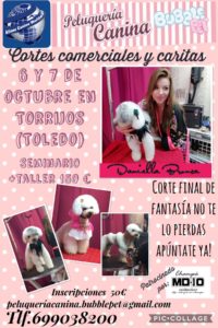 Seminario sobre Cortes comerciales y Caritas en el Centro Alianz Formación de Torrijos @ Peluquería Canina Bubble Pet