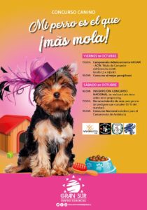 Exposición Canina Nacional Cádiz 2018 @ Centro Comercial Gran Sur