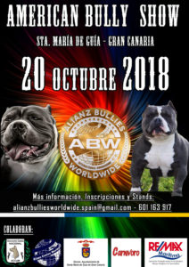 American Bully Show Gran Canaria 2018 @ Sta. María de Guía de Gran Canaria