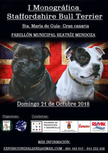 I Monográfica de Staffordshire Bull Terrier Gran Canaria 2018 @ Sta. María de Guía de Gran Canaria