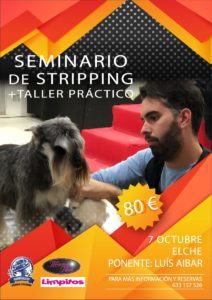 Seminario y taller práctico de Stripping Alianz Elche @ Centro Alianz Formación Elche