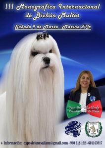 Monográfica Internacional raza Bichón Maltes 30 Aniversario ACCAM-ACW Marina d ´Or 2019 @ Marina d´Or