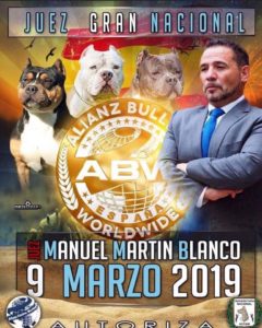 Monográfica ACW American Bully 30 Aniversario European Dog Show Marina d´Or 2019 @ Marina d´Or