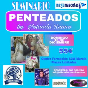 Seminario de Técnicas en Penteados ACW Murcia 2018 @ Clinica Veterinaria Megamascotas