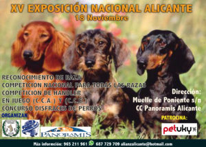 XV Exposición Canina Nacional de Alicante 2018 @ CC Panoramis Alicante