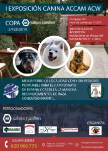 I Exposición Canina Nacional Esquivias 2018 @ Complejo HH Salones y Jardines