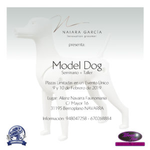 Seminario- Taller de Model Dog ACW Navarra 2019 @ Centro de Formación ACW Navarra