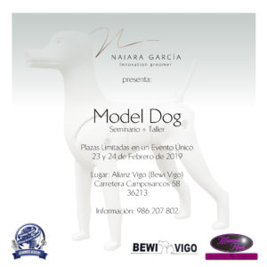 Seminario- Taller de Model Dog ACW Vigo 2019 @ Centros de Formación ACW Vigo
