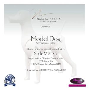 Seminario- Taller de Model Dog ACW Navarra 2019 @ Centro de Formación ACW Navarra
