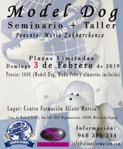 Seminario+Taller ACW Model Dog Murcia Febrero 2019 @ Centro Formación ACW Murcia