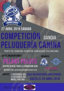 Competición de Grooming ACW en Gandia- Abril 2019 @ ACW Gandia