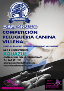 Competición de Grooming ACW en Villena 2019 @ Club de Tenis Juan Carlos Ferrero de Villena
