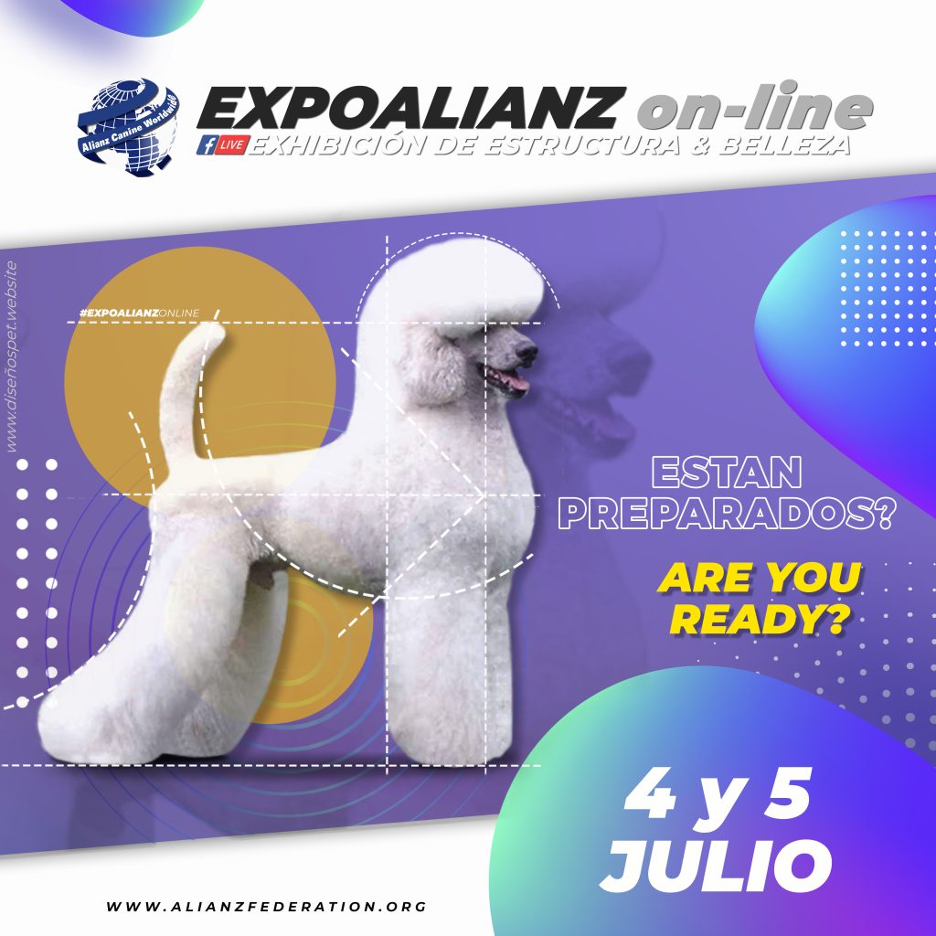 EXPOALIANZ ON-LINE