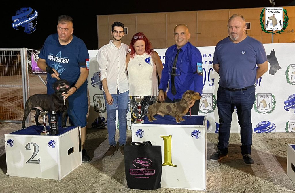 teckel  stafford shire bull terrier magistral royal cosmetica animal cosmetica natural cosmetica para mascotas champu perro