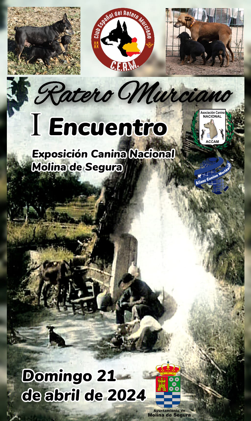 encuentro ratero molina de segura