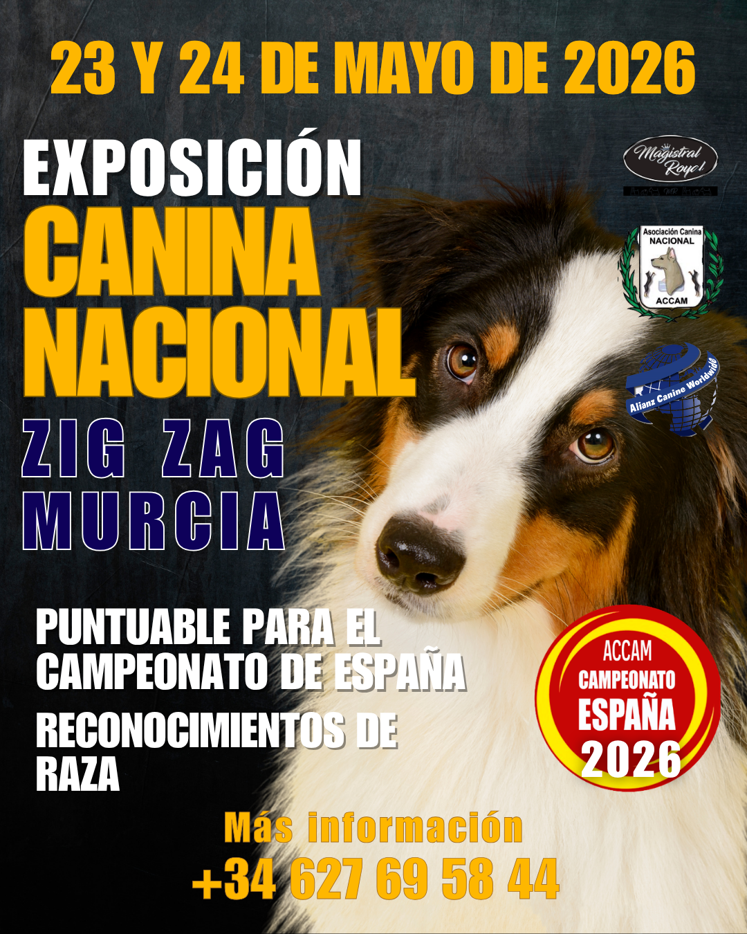 Exposición Canina Nacional – 23 y 24 de Mayo de 2026 en ZigZag, Murcia