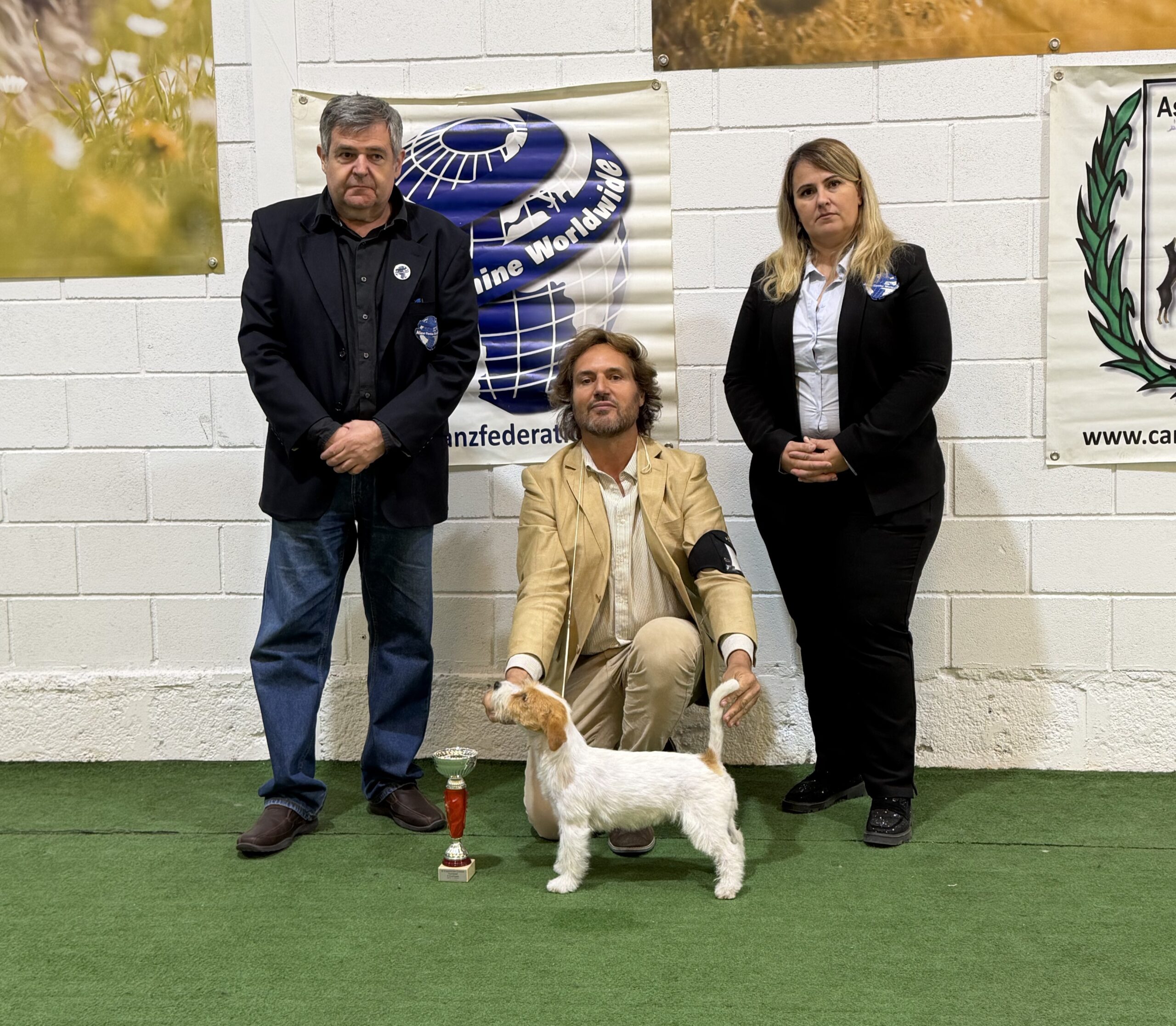 Binders Peaks Terrier